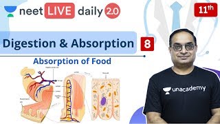 NEET Biology Digestion amp Absorption  L8  Class 11  Live Daily 20  Unacademy NEET  Sachin Sir [upl. by Ion715]