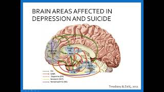 The Neurobiology of Pain Processing and Suicide A Potential Marker for Suicide Risk [upl. by Elonore458]