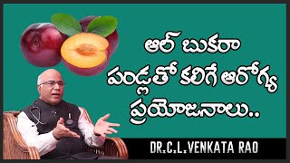 Albakara Fruit Benefits  Dr CL Venkata Rao  Shri Tv Doctor [upl. by Alfred703]