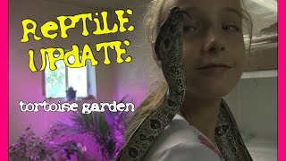 Reptile Update  Tortoise Garden [upl. by Manuel]