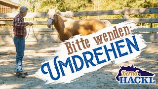 Vom Boden aus umdrehen  Bernd Hackl erklärt 🐴 [upl. by Aillil]