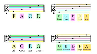 How To Read Notes On The Staff  EASY  Music Theory Tutorial [upl. by Anaiad]