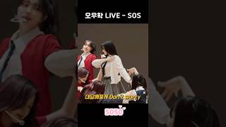 피프티피프티 오우학 LIVE  SOS [upl. by Newmark336]