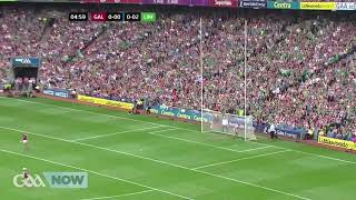 All Ireland Hurling Final 2018 Highlights Galway vs Limerick [upl. by Secnirp]