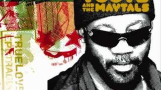 The Toots amp Maytals  Louie Louie [upl. by Ecirtam]