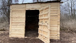 CabinShed Built With Pallet Wood On Off Grid Land DIY [upl. by Dawna]