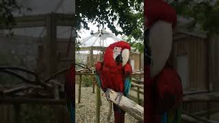 Lincolnshire Wildlife Park Day Trip [upl. by Palestine]