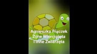 Żółw Wiercipięta i inne zwierzęta audiobook bajkidladzieci audiobajki [upl. by Jeroma]