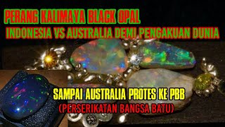 Kalimaya Opal Banten Vs Opal Australia Demi Pengakuan PBB [upl. by Eidnak]