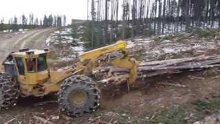 tigercat skidder 002 [upl. by Gage23]