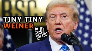 TRUMP sings about his TINY TINY WEINER  AI Saint Stormy Daniels AI Karen McDougal AI Melania too [upl. by Eanrahc]