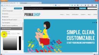 PrimaShop WooCommerce  Working With Design Settings Customizer [upl. by Aivata]