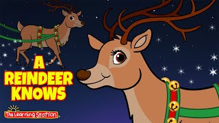 Christmas Songs for Children 🎄 A Reindeer Knows 🎄 Reindeer Nose 🎄 Kids Song by The Learning Station [upl. by Roderic]