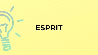 What is the meaning of the word ESPRIT [upl. by Nnahsal]