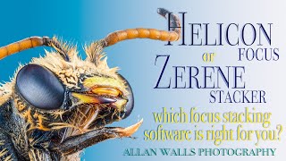 Helicon or Zerene  which focus stacking software is right for you [upl. by Adal]