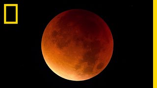 Lunar Eclipse 101  National Geographic [upl. by Jovita]