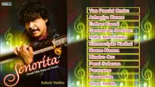 Rajhesh Vaidhya Veena  A Tribute To Isaignani Ilayaraja  Instrumental  Tamil Film Super hit Songs [upl. by Ylam757]