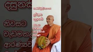 දුර්ලභ❤️ දසුනකි subscribe කරලම බලන්න shorts buddhism [upl. by Ainav]