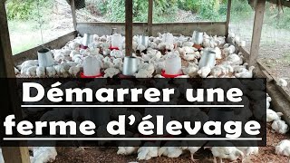 Voici 8 Etapes pour commencer une entreprise d’élevage de poulet à succès en Afrique [upl. by Pish191]