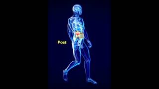 Prostatectomy indications and procedure medicine pharmacist nursing dental [upl. by Granese160]