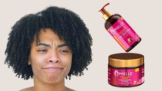 Mielle Pomegranate amp Honey Curl Smoothie and Custard  Natural Hair Wash and Go [upl. by Blasius690]