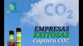 🌲 EJEMPLOS EXITOSOS DE PROYECTOS DE CAPTURA DE CARBONO EN EL MUNDO 🌲 [upl. by Htederem256]