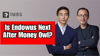 Is Endowus Next After Money Owl [upl. by Suzy]