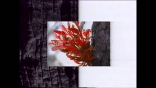 ABC TV Ident  quotF for Floraquot 19941996 [upl. by Hauge]