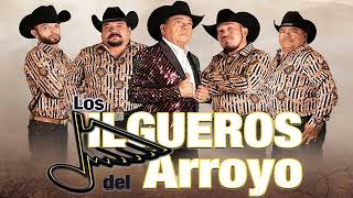 Los Jilgueros Del Arroyo Mix Para Pistear  Corridos Y Nortenas Mexicanas Viejitas [upl. by Carmelina]