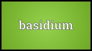 Basidium Meaning [upl. by Alaekim]