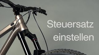 steuersatzspiel am bike einstellen [upl. by Damaris]