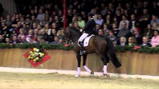 Franziskus  Sosath Stallion Show 2014 [upl. by Sidonnie]