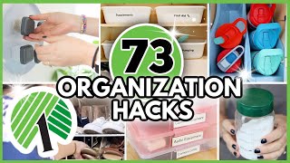 73 Dollar Tree Organization Hacks From a Pro Get your house organized FAST [upl. by Trefor]