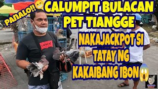 CALUMPIT BULACAN PET MARKET DINADAYO NG MGA TAO SOBRANG MURA NG PETS MALA BOCAUE DITO vlog610 [upl. by Florina]