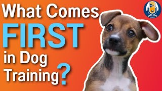 Dog Training With Layered Shaping Why Classical Conditioning Must Come First 171 podcast [upl. by Corley80]