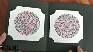 Ishihara Color Blindness Test Book 38 Plates Japan Printed 2020 [upl. by Eanod]