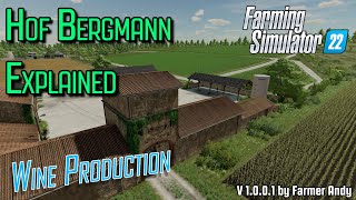 👨🏼‍🌾 FS22 Hof Bergmann Explained 👨🏼‍🌾 Grape Juice and Wine Production [upl. by Vish378]