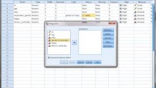 SPSS Renaming Labeling Variables Values [upl. by Consuela]