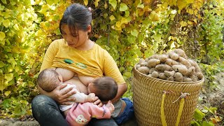 Single mother raising two children Harvest yams goes to the market sell Daily life of a single mom [upl. by Kironde]