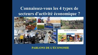 Cours 15 Connaissezvous les 4 types de secteurs dactivité économique  Explications [upl. by Gherardi470]