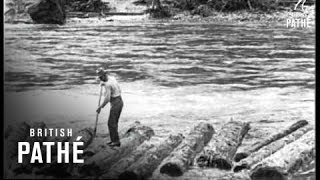 Logging In Idaho  USA 1926 [upl. by Evetta]