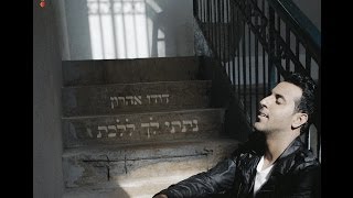 דודו אהרון  נתתי לך ללכת [upl. by Telrats]