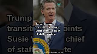 Dem Governors amp AGs Vow to Resist Trumps Incoming Administration What’s Next for America foryou [upl. by Ispep]