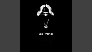 25 PIND [upl. by Ecidnac]