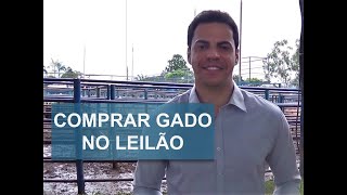 COMO COMPRAR GADO NO LEILÃO [upl. by Naashar]