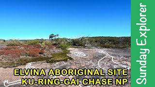 Elvina ABORIGINAL ENGRAVINGS Site Kuringgai Chase National Park Sydney Northern Beaches [upl. by Llenhoj]