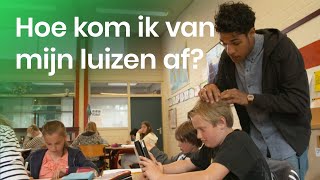 Wat kan ik tegen hoofdluis doen [upl. by Colin138]