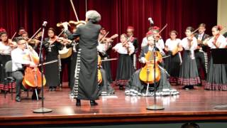 El Huapango by Moncayo  Latino Arts Mariachi Juvenil  Ravinia [upl. by Cosme]