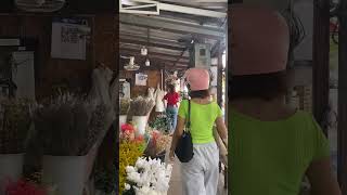 Flower Bazaar in Chiang Mai [upl. by Madella]