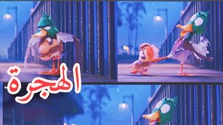 migration فيلم الهجرة مدبلج مصري تحفة ❤️ الهجرة 🦆 🦆 شكلك متضايق وأنت محتاج حضن🦆🦆 [upl. by Lorollas]